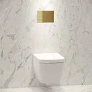 TECEsquare Metal II Flush button - PVD Brushed Gold image